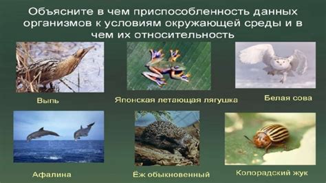 Приспособление к независимому питанию