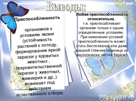 Приспособленность к условиям жизни на суше