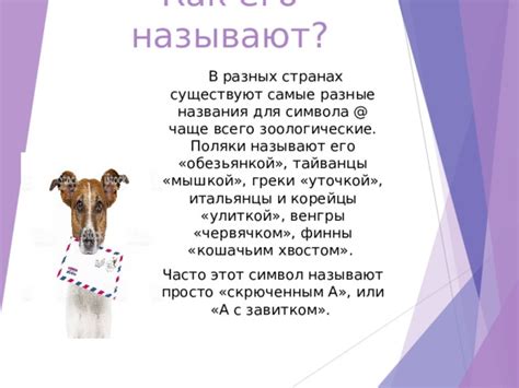 Причина, почему собака в почте называется собакой