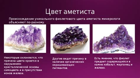 Причина фиолетового цвета панциря у ахатин