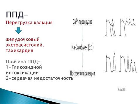 Причина 1: Перегрузка желез