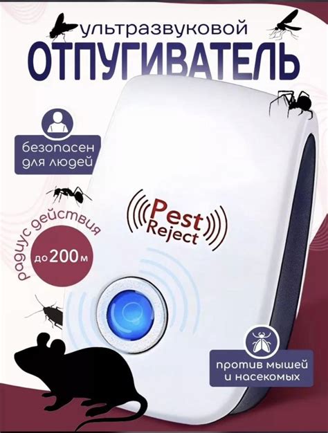 Причина 1: Привлечение насекомых и грызунов
