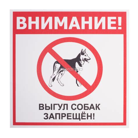 Причины, по которым ввоз собак запрещен