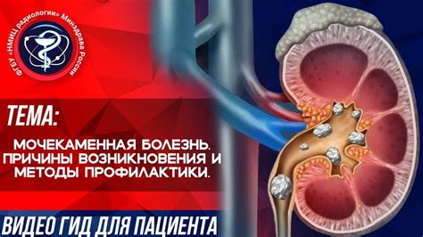 Причины возникновения породинок на почках