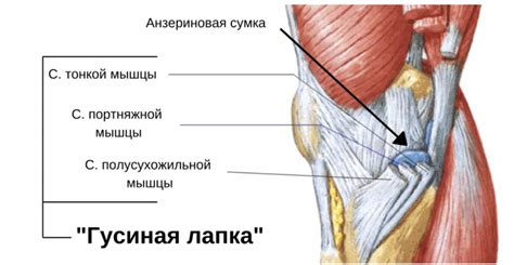 Причины горения внутри колена