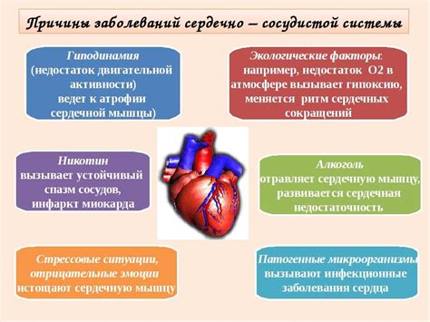 Причины зноба в связи с нарушениями работы сердечно-сосудистой системы