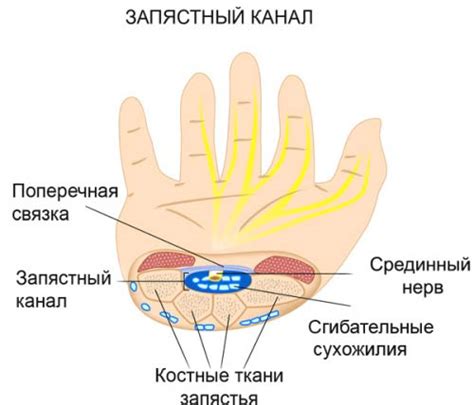 Причины зуда безымянного пальца