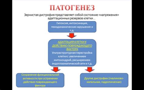 Причины и механизмы Perception