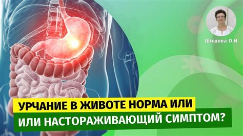 Причины и рекомендации по уменьшению урчания живота у новорожденных