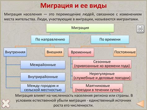 Причины миграции ласточек