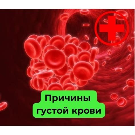 Причины образования густой крови