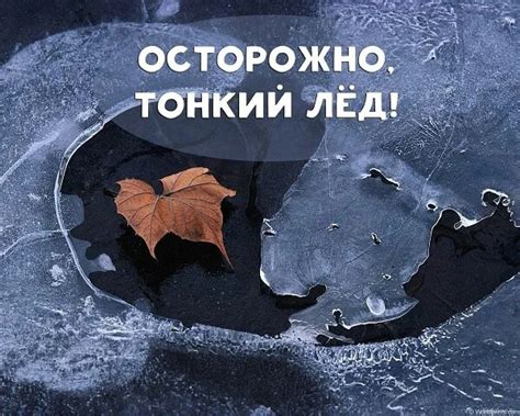 Причины осенних заморозков