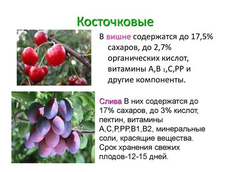 Причины отсутствия плодоношения в закрытом помещении