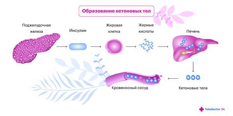 Причины появления ацетона в моче у детей и диагностика