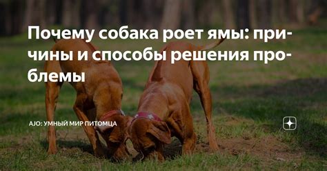Причины проблемы и способы решения