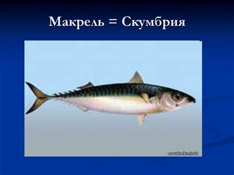Причины путаницы