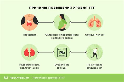 Причины увеличения ТТГ у мужчин