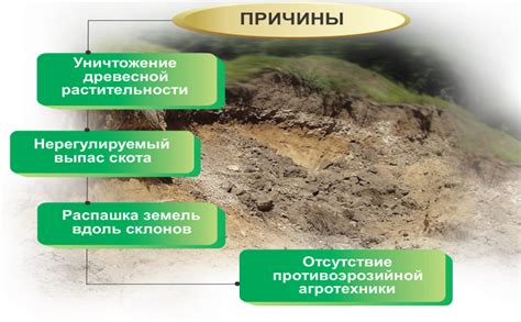 Причины эрозии почвы, обусловленной деятельностью мужчины