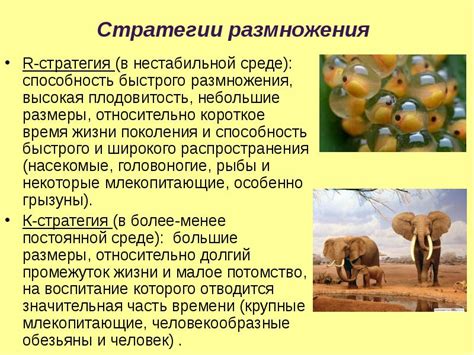 Проблема быстрого размножения
