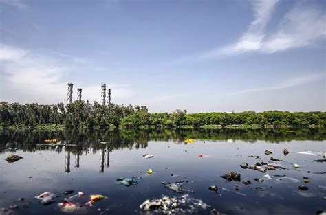 Проблема загрязнения воды серебром