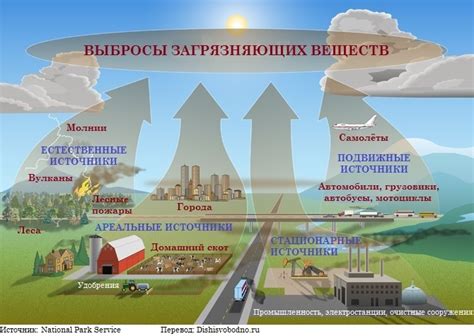 Проблема щитовки: причины и последствия