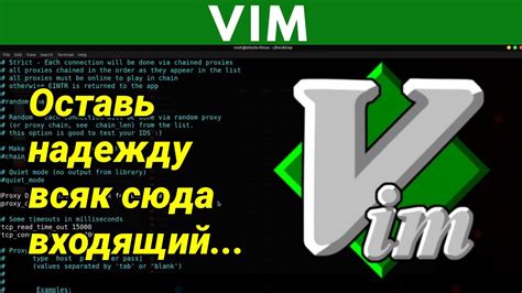 Проблемы, которые могут возникнуть из-за эмулятора vim