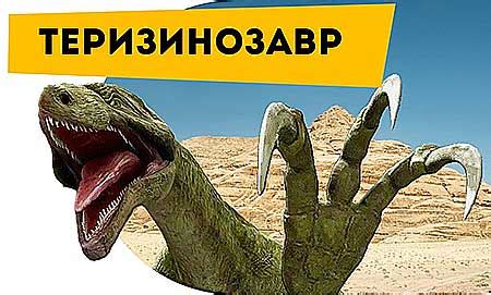 Проблемы, связанные с длинными когтями