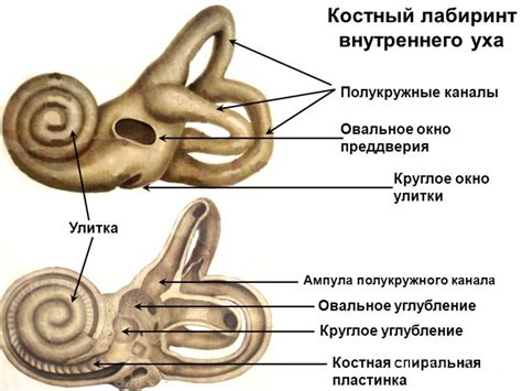 Проблемы внутреннего уха: