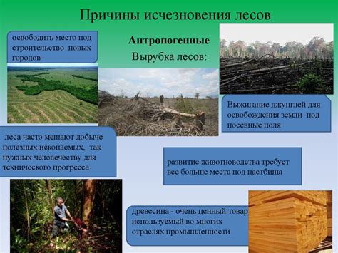 Проблемы и причины исчезновения
