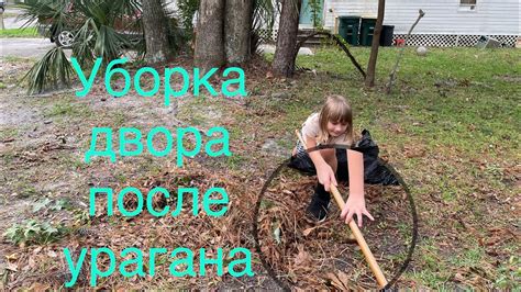 Проблемы и решения: очистка двора от порчи