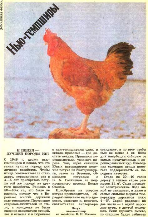 Проблемы с генетикой и породой кур