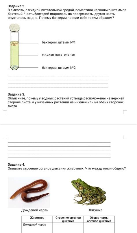 Проблемы с питательной средой
