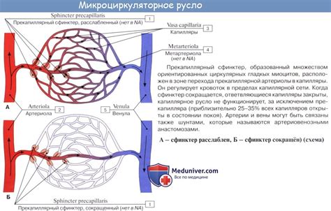 Проблемы труб в органе