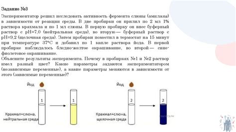 Проведение и анализ результатов эксперимента