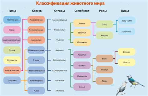 Проведите исследование растения в зависимости от солнечности