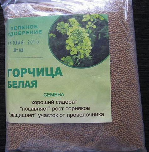 Проверенные народные средства против проволочника