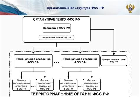 Проверить информацию в базе данных Фонда социального страхования
