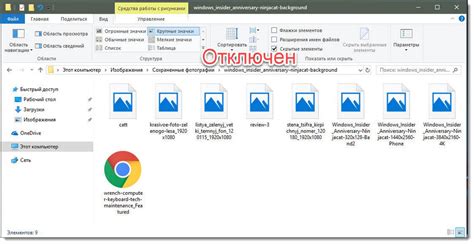 Проверить предварительный просмотр