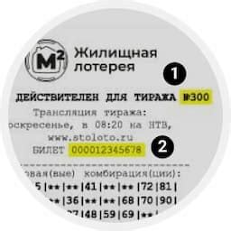 Проверка билета Столото на официальном сайте
