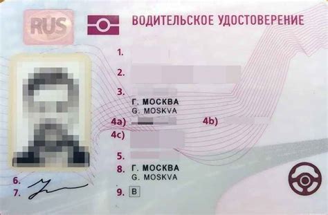 Проверка водительских прав по базе ГИБДД: как это сделать надежно