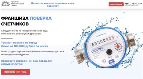 Проверка надежности счетчика Пепелацева