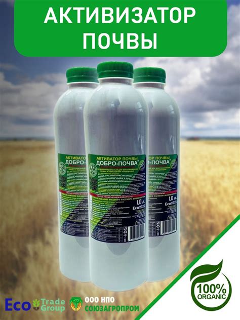 Проверка почвы и удобрение