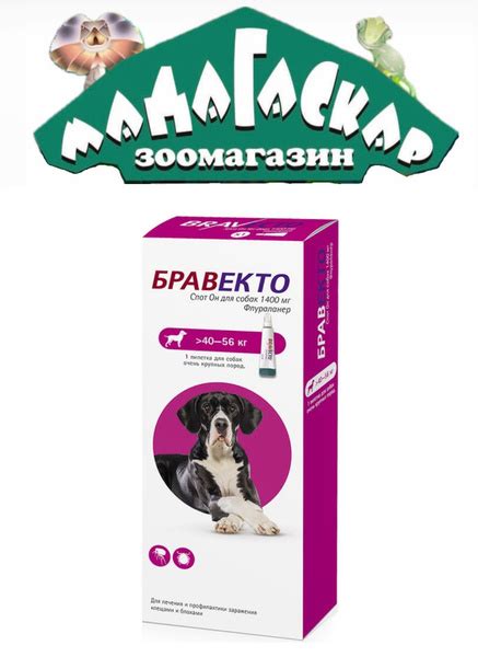 Проверка препарата Бравекто на официальном сайте производителя