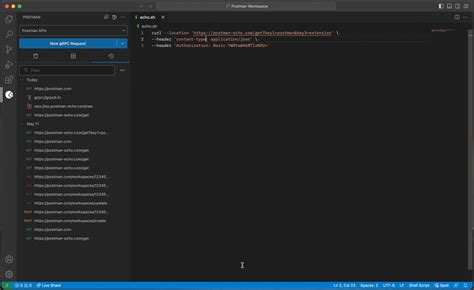 Проверка работы curl в Visual Studio