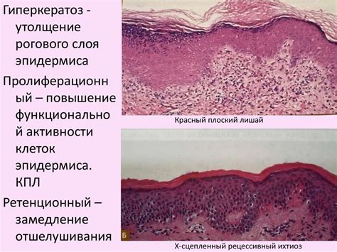 Проверка реакции кожи
