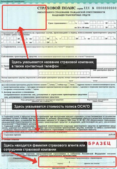 Проверка таможни по номеру ГТД