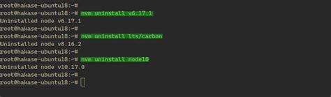 Проверка удаления nvm и nodejs