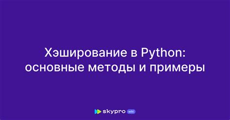 Проверка чисел в Python: основные методы и примеры