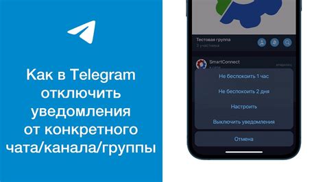 Проверьте работу уведомлений Телеграм