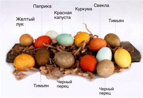 Проверяем срок годности яйца